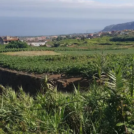 Holiday Camino Montijo לוס ריאלחוס